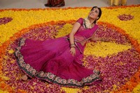 Nisha Agarwal New Photo Gallery